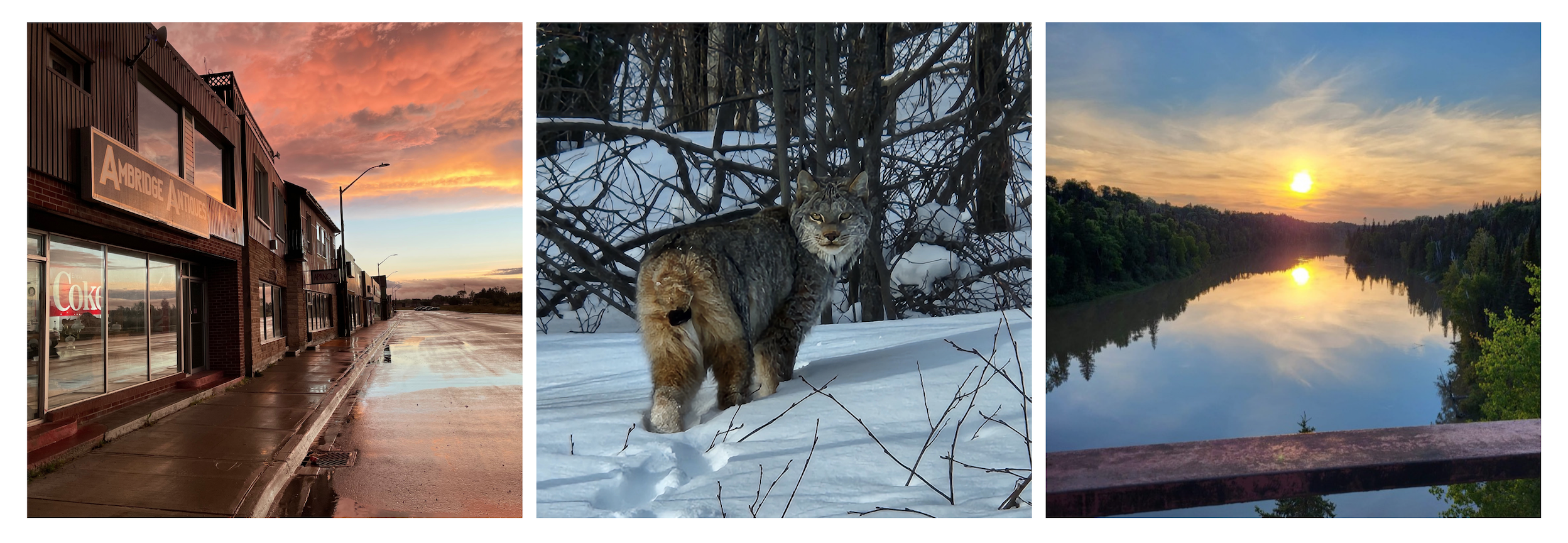 Cover Photo Cover Photo